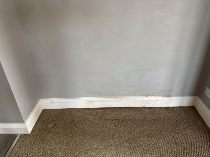 Damp and moisture damage at skirting level
